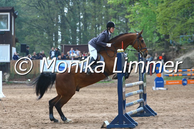 005L4056_Calimero_Stil L.JPG